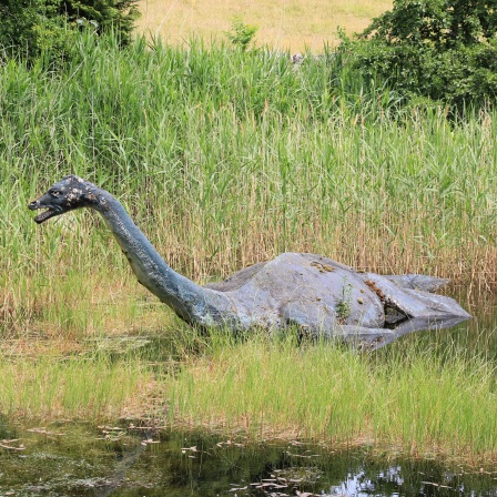 Nachbildung von dem «Monster» ist im Loch Ness Centre zu sehen