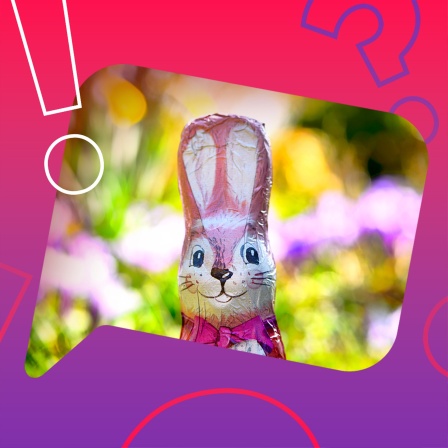 Schoko-Osterhase vor Blumenbeet