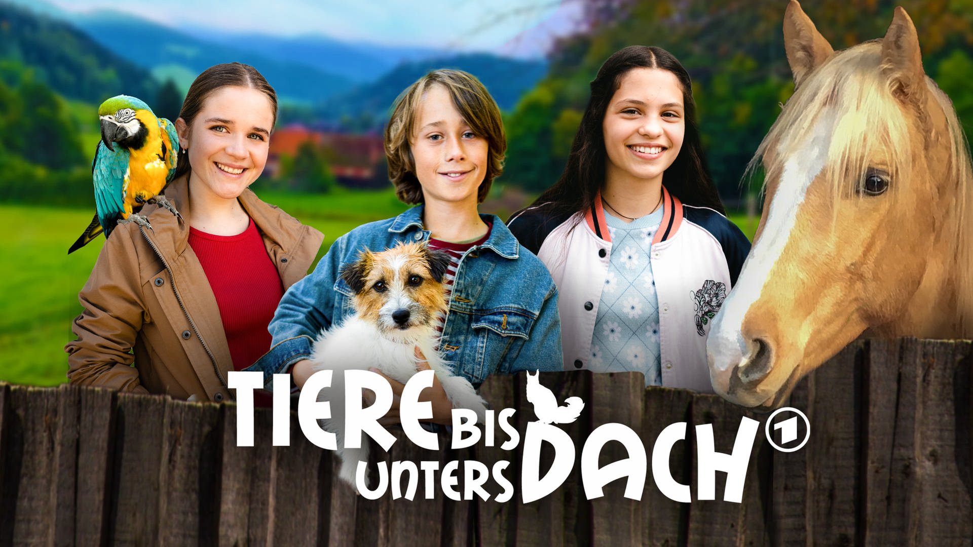 Tiere bis unters Dach Videos der Sendung ARD Mediathek