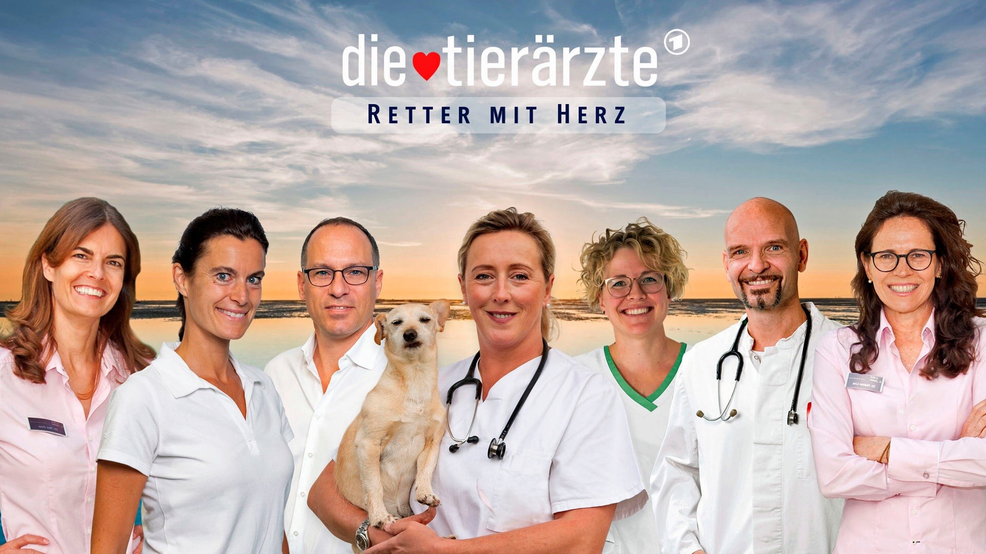 Die Tierärzte Retter mit Herz Videos der Sendung ARD Mediathek