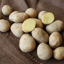 Kartoffeln waren in der Nachkriegszeit begehrt