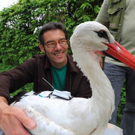 Martin Wikelski, Direktor des Max-Planck-Insituts für Ornitholigie in Radolfzell und Leiter des ICARUS-Projekts mit einem besenderten Storch (Bild: picture alliance/dpa/MaxCine)