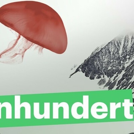 Einhundert Grafik mit Qualle und Schriftzug