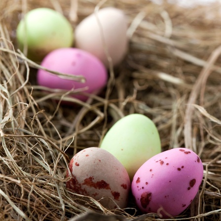 Bunte Ostereier im Nest.