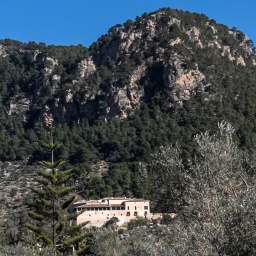Ein Steinhaus in den Bergen von Mallorca steht weit und breit allein im Grünen