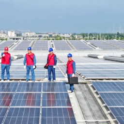 Arbeiter bei der Inspektion von Solarmodulen im chinesischen Chuzhou am 30. Juni 2024.