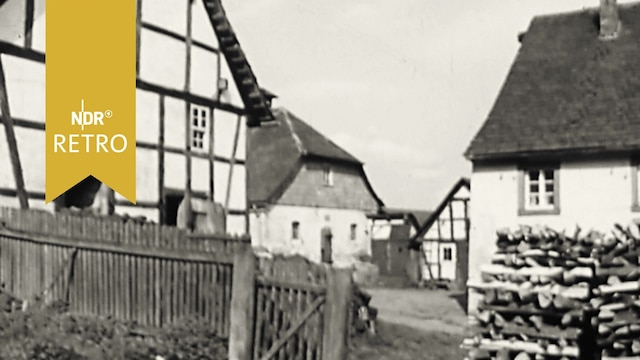 Dorfansicht Derental im Solling 1961, niedersächsische Bauernhäuser mit Fachwerk