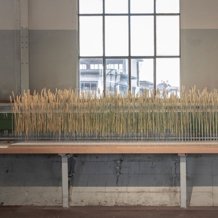 Elena Corvaglia: Reservoir, 2023