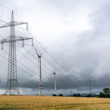 Stromleitungen, Hochspannungsleitungen, Windkraftwerke, Getreidefeld, nordöstlich von Höxter