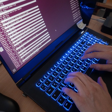 Eine Wissenschaftlerin eines Landeskriminalamts arbeitet an Computerbildschirmen (Archivbild)