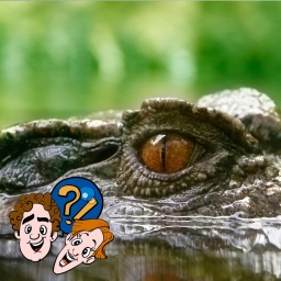 Können Krokodile schielen?