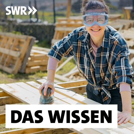 Frau mit Schutzbrille schleift Bretter auf einer Baustelle: Ob auf dem Dachstuhl, der Malerleiter oder am Sicherungskasten – Handwerkerinnen sind immer noch die große Ausnahme. 