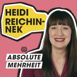 Heidi Reichinnek (Linke): Schluss mit Ausreden – Frauenschutz finanzieren! - Thumbnail
