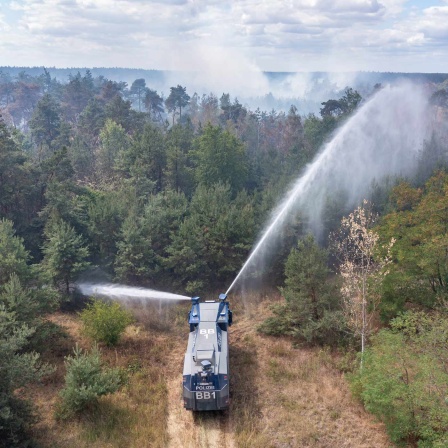 Ein Löschfahrzeug verspritzt Wasser in einem Waldstück mit Rauchentwicklung. (Quelle: Picture Alliance)