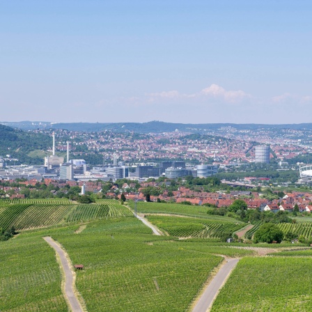 Blick vom Kappelberg auf die Stadt Stuttgart