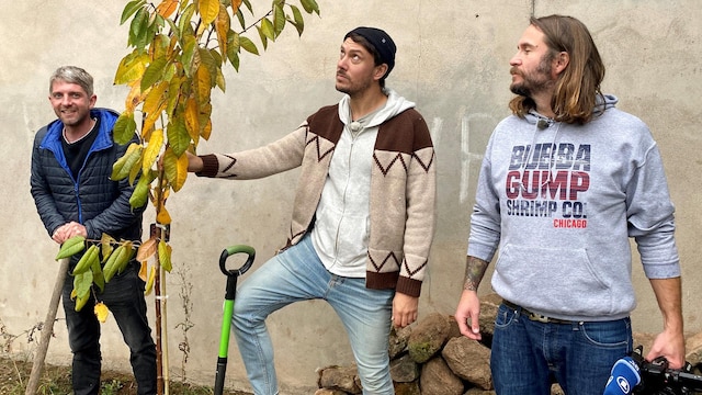 Die Woidboyz Andreas Weindl, Bastian Kellermeier und Ulrich Nutz pflanzen einen Kirschbaum in Pressath. | Bild: BR/Eva Schatz