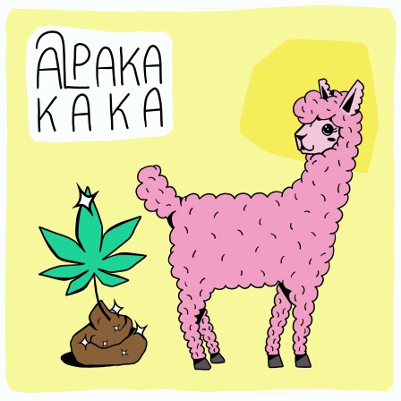 Alpakakaka - Kiffen, Kot und Klöße