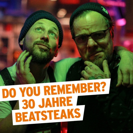 Do You Remember? - 30 Jahre Beatsteaks