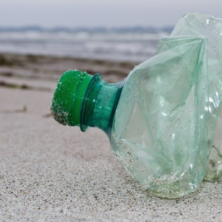 Am Ostseestrand zwischen Juliusruh und Glowe (Mecklenburg-Vorpommern) auf der Insel Rügen liegt am 26.02.2013 eine Flasche aus Kunststoff.