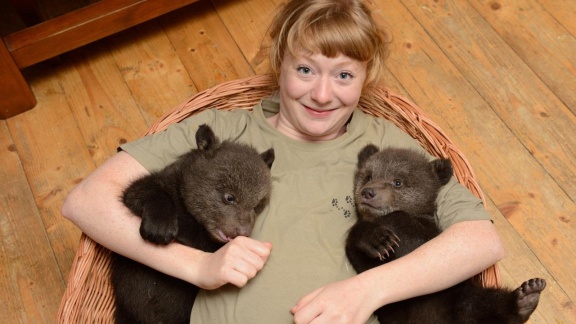 Anna, Paula, Pia Und Die Wilden Tiere - Paula Und Die Wilden Bären