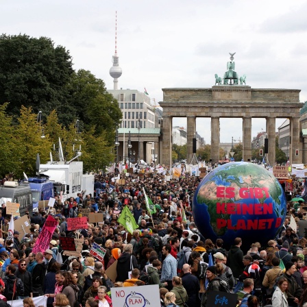 Demonstranten bei der &#039;Fridays for Future&#039; Demonstration im Rahmen des weltweiten Klimastreiks am Brandenburger Tor.