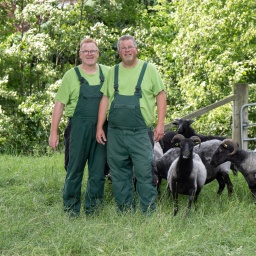 Michael Stücke und Jochen Klinge mit den Schafen auf der Weide. 