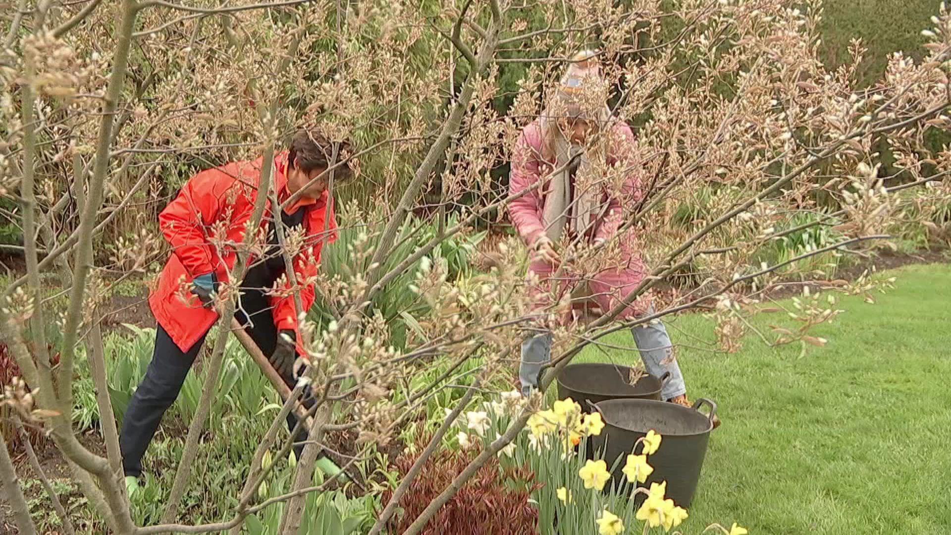 rbb Gartenzeit Stauden ausgraben und teilen ARD Mediathek