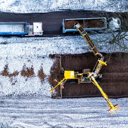 Rehna, MV: Trotz Schneefall werden mit einer sogenannten Rübenmaus Zuckerrüben von einer Miete auf einen LKW verladen (Luftaufnahme mit einer Drohne). 