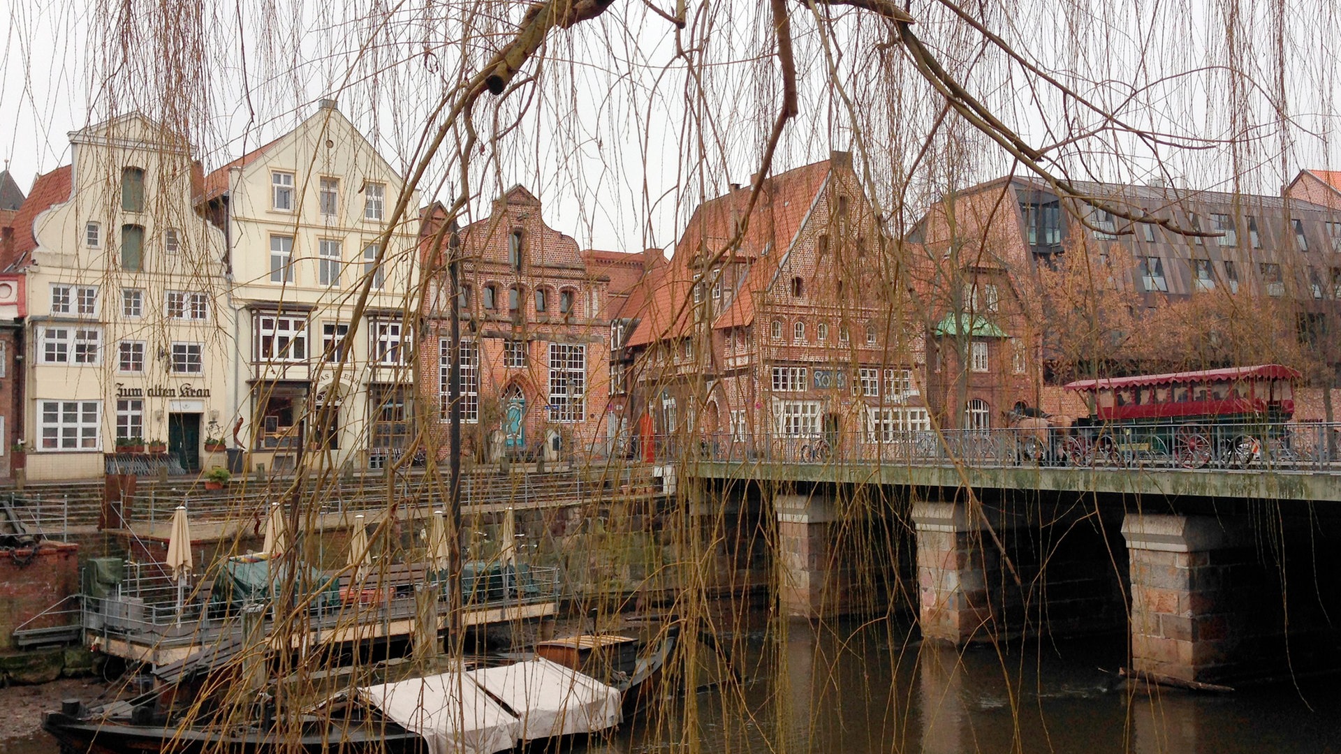 die nordstory Lüneburg und die 'Roten Rosen' ARD Mediathek