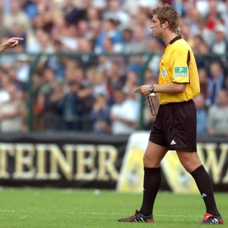 Der Hamburger Spieler Sergej Barbarez (links) diskutiert mit Schiedsrichter Robert Hoyzer in Paderborn im DFB-Pokalspiel, 2004.
