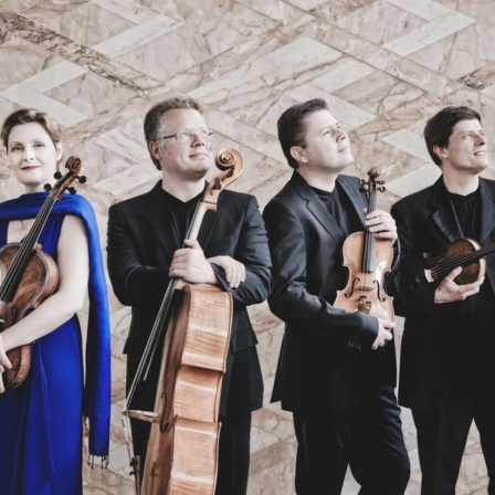 Musikgeschwister: Das Henschel Quartett