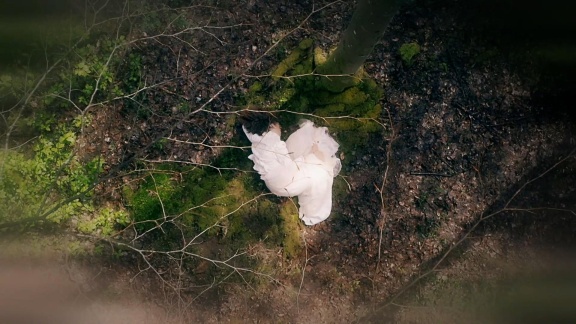 Sturm Der Liebe - Findet Die Hochzeit Statt.