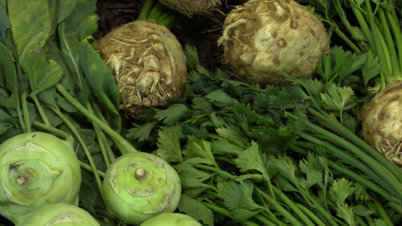 Wer Weiß Denn Sowas? - Woran Erkannt Man Einen Holzigen Kohlrabi Schon Beim Kauf.