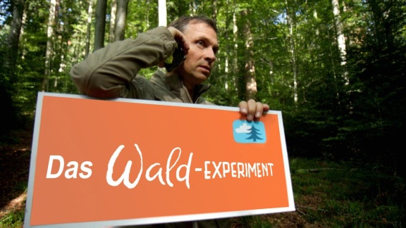 W Wie Wissen - Das Experiment - Der Wahre Wert Des Waldes