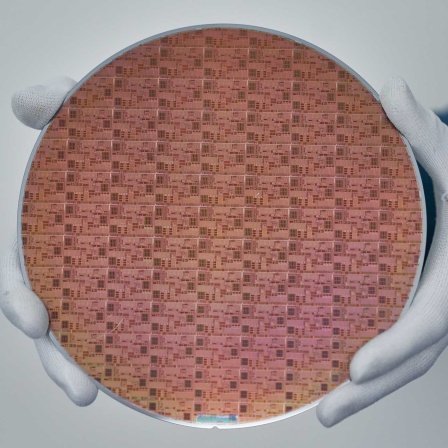 Hyphox: Wafer mit Chips (Bild: rbb/Anja Dobrodinsky) 