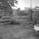 Garten mit Schubkarre