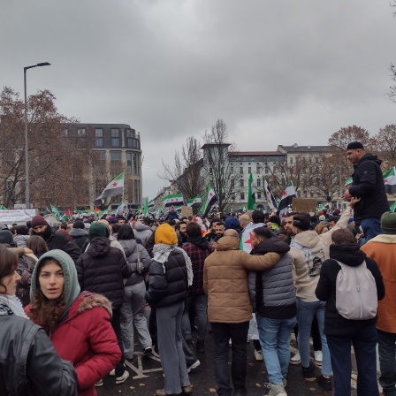 Sturz des Assad-Regimes
