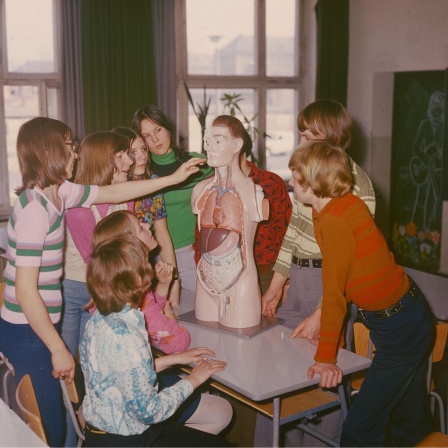Biologieunterricht in einer Schule in Neubrandenburg (DDR): Die menschliche Anatomie wird anhand eines Modells erlernt. Die Schülerinnen und Schüler berühren vorsichtig das Modell eines Menschen und blicken neugierig auf das Gesicht, 1975.
