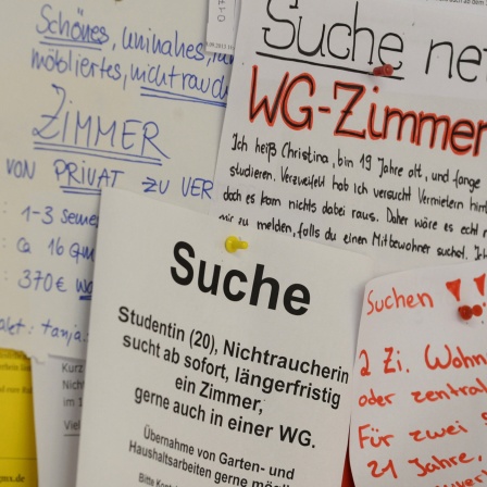 Mehrere Wohnungsgesuche hängen an einem Schwarzen Brett