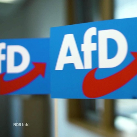 Kleine Fähnchen, auf den das AfD Logo zu sehen ist.