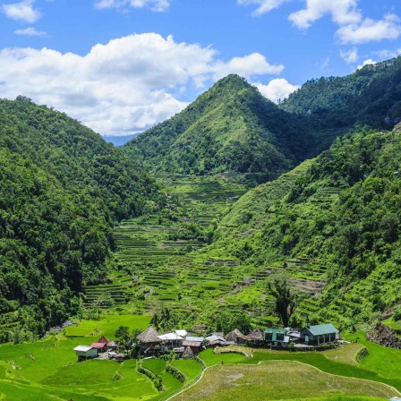 Bangaan auf den Reisterrassen von Banaue, Northern Luzon, Philippinen, Asien (Bild: imago/imagebroker)