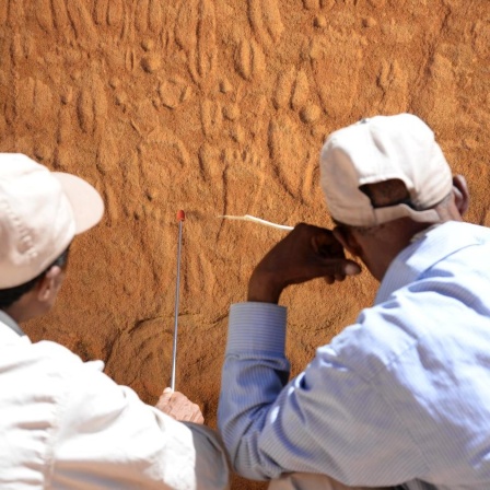 Fährtenleser helfen Archäologen – Felskunst in Namibia auf der Spur