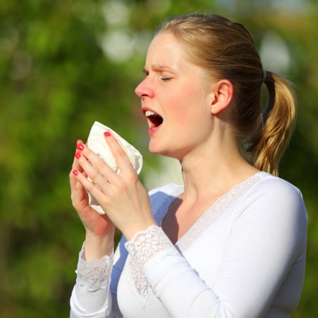 Eine junge Frau niest in der grünen Natur in ein Taschentuch: Niesen ist physiologisch ein explosives Atmen; die gleichen Körperpartien sind beteiligt wie beim normalen Atmen. Das &#034;Nieszentrum&#034; im Gehirn führt das Kommando.