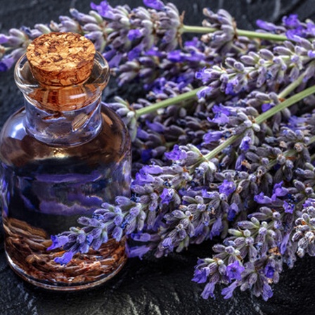 Lavendelöl und Lavendel sind im Bild zu sehen