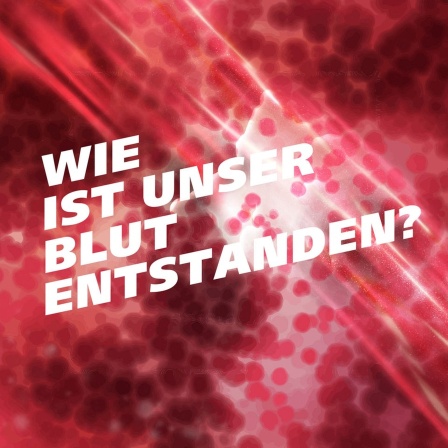 An Blutplasma erinnernde Textur. Schrift: Wie ist unser Blut entstanden?