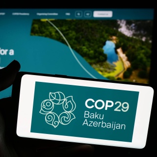 Eine Person hält ein Smartphone mit dem Logo der COP29