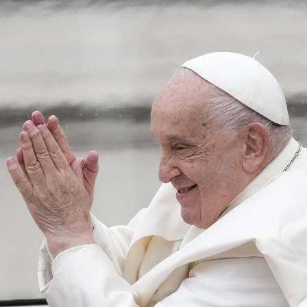 Die Reformprojekte von Papst Franziskus