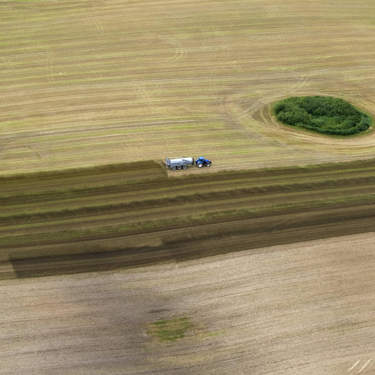 Forschung aktuell Deutschlandfunk · Biodiversität in Nord und Ostsee