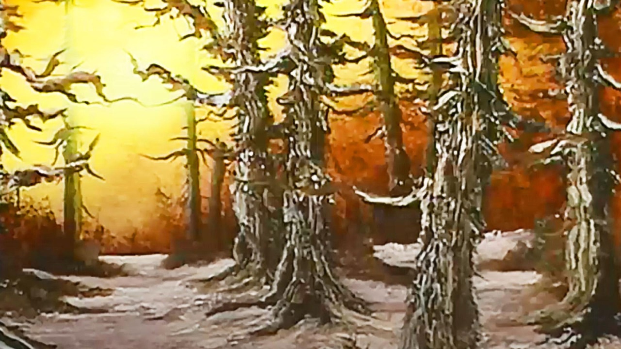 Rustic Winter Woods