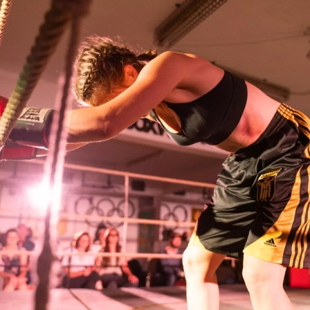 Der Hidalgo-Box-Salon beim Mozartfest Augsburg